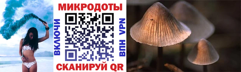 где продают Тобольск Псилоцибиновые грибы мухоморы
